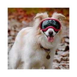 Hundglasögon REX Specs V2 Sol- och skyddsglasögon SMALL Svart